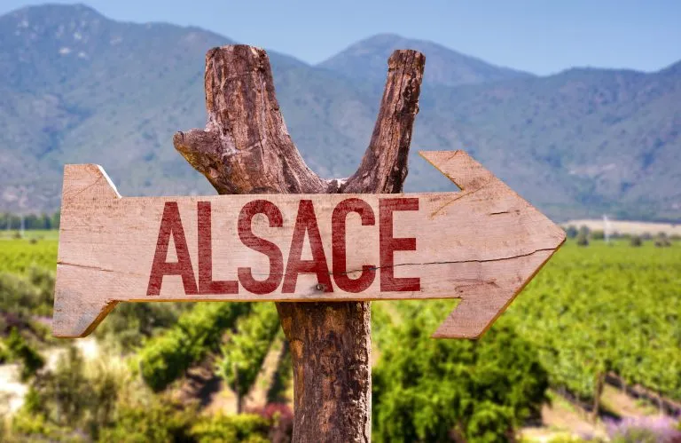 Alsacen puinen kyltti viinitilan taustalla